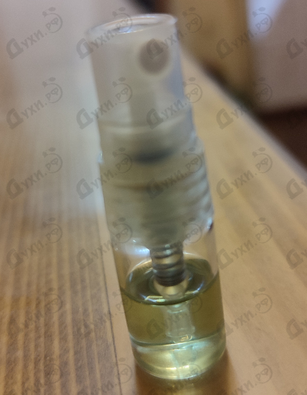 Купить Rinascimento от Salvatore Ferragamo Отзыв Salvatore Ferragamo Rinascimento