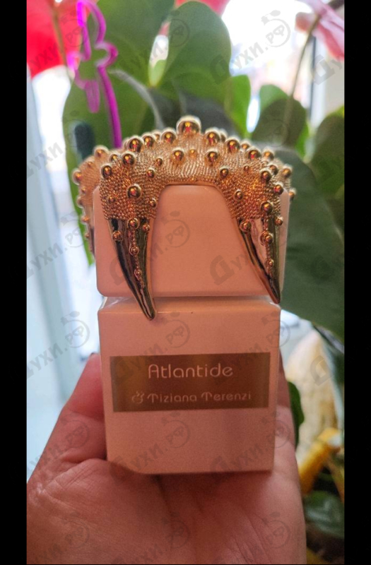 Парфюмерия Atlantide от Tiziana Terenzi