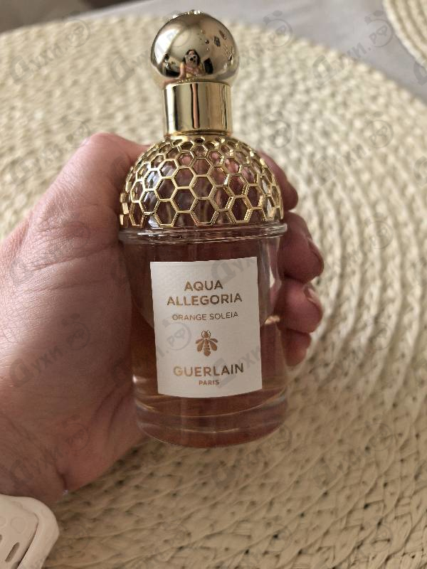 Купить Aqua Allegoria Orange Soleia от Guerlain