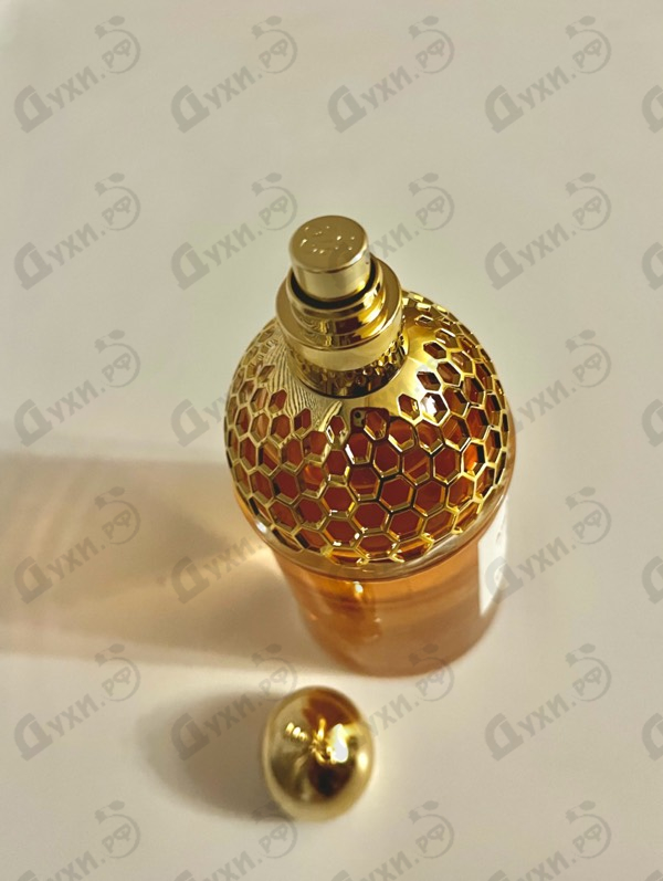 Купить Guerlain Aqua Allegoria Orange Soleia Духи Aqua Allegoria Orange Soleia от Guerlain