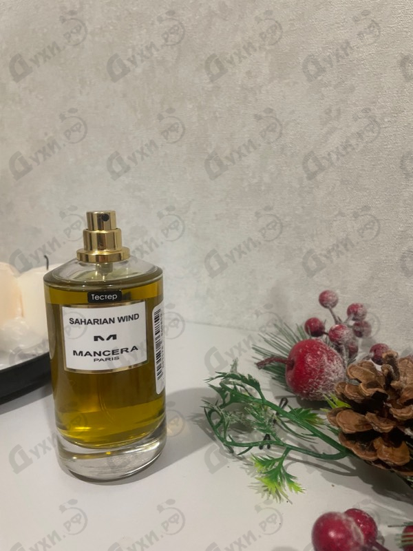 Купить Saharian Wind от Mancera