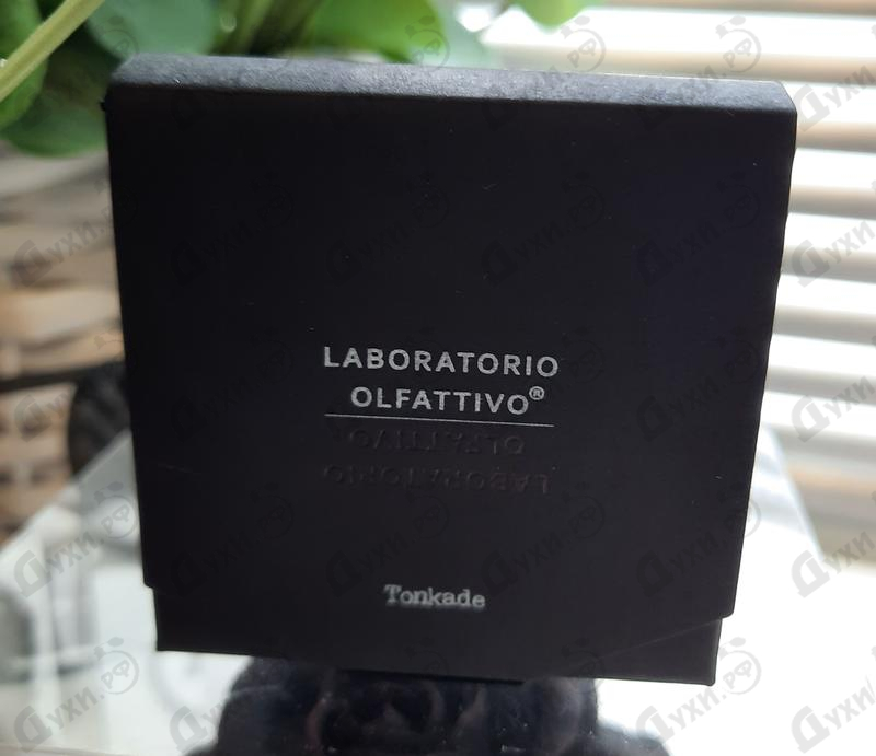 Купить Laboratorio Olfattivo Tonkade