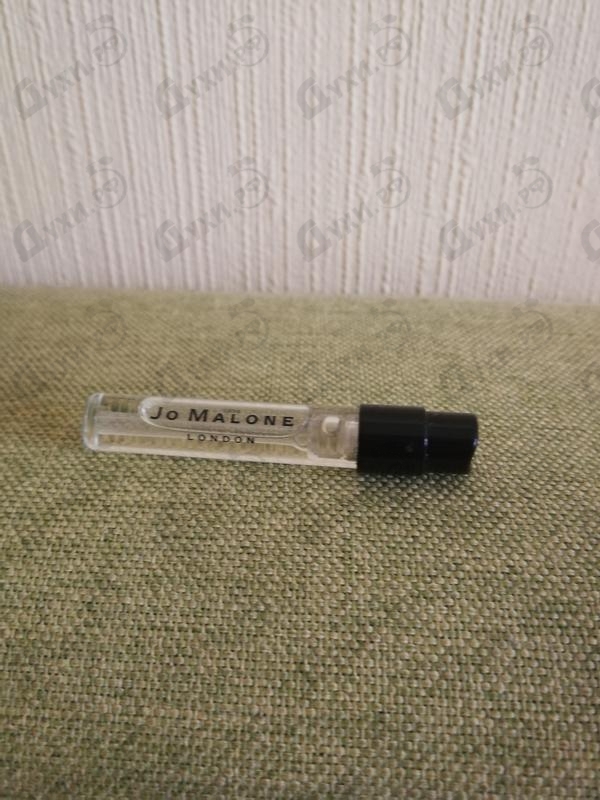 Парфюмерия Cypress & GrapeVine от Jo Malone