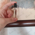 Отзывы Louis Vuitton Orage