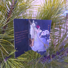 Отзыв Haute Fragrance Company Wrap Me In Dreams