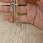 Отзыв Haute Fragrance Company Wrap Me In Dreams