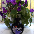 Отзыв Haute Fragrance Company Wrap Me In Dreams