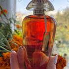 Отзывы The Merchant of Venice Andalusian Soul