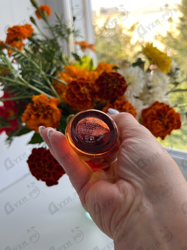 Отзыв The Merchant of Venice Andalusian Soul