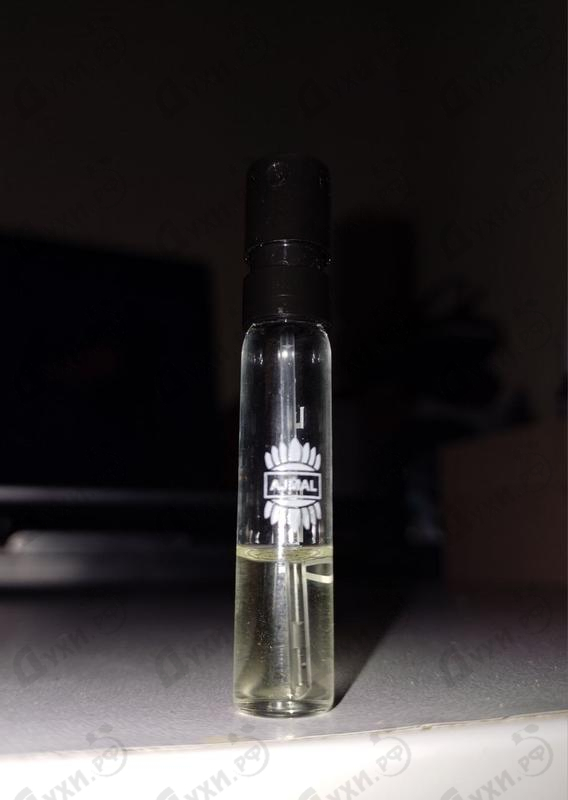 Парфюмерия Verde от Ajmal