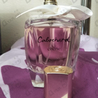 Отзыв Gres Cabochard Cherie