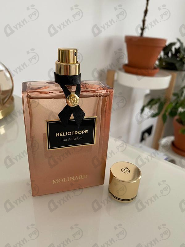 Купить Heliotrope от Molinard