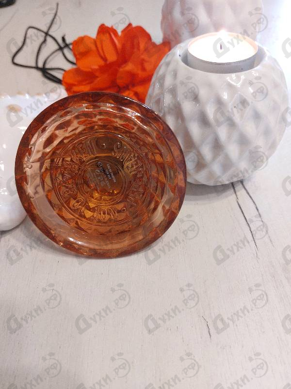 Купить Pepe Jeans For Her