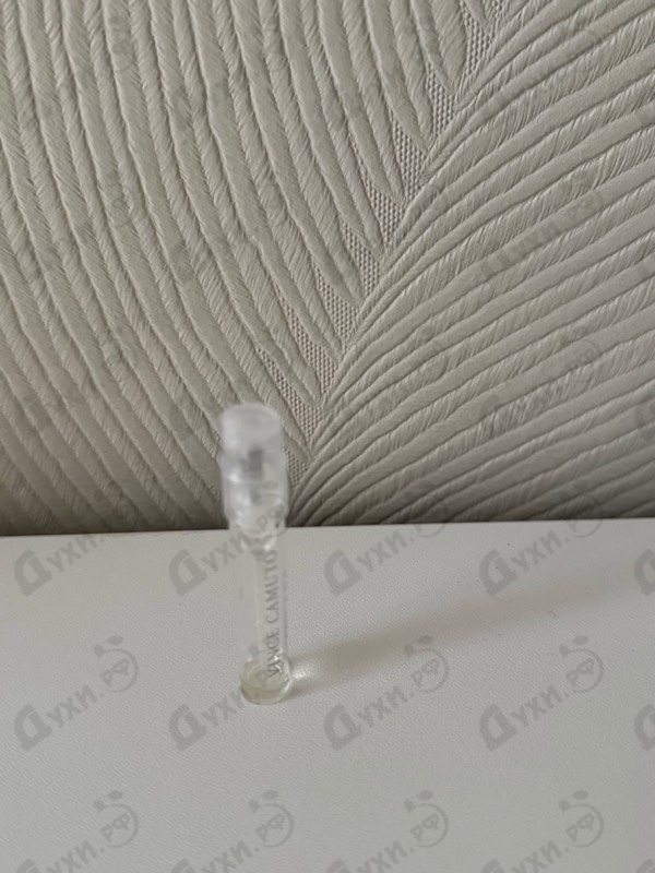 Парфюмерия Solare от Vince Camuto