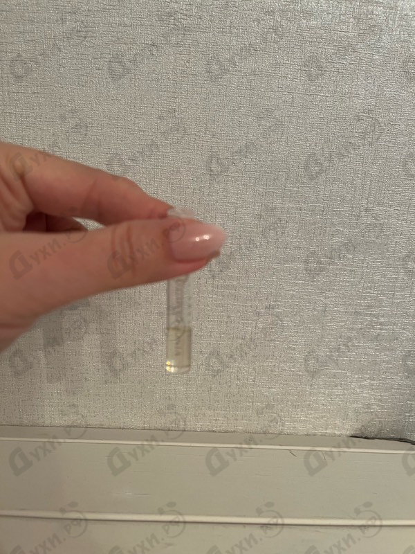 Парфюмерия Solare от Vince Camuto