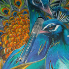 Отзывы Vince Camuto Solare