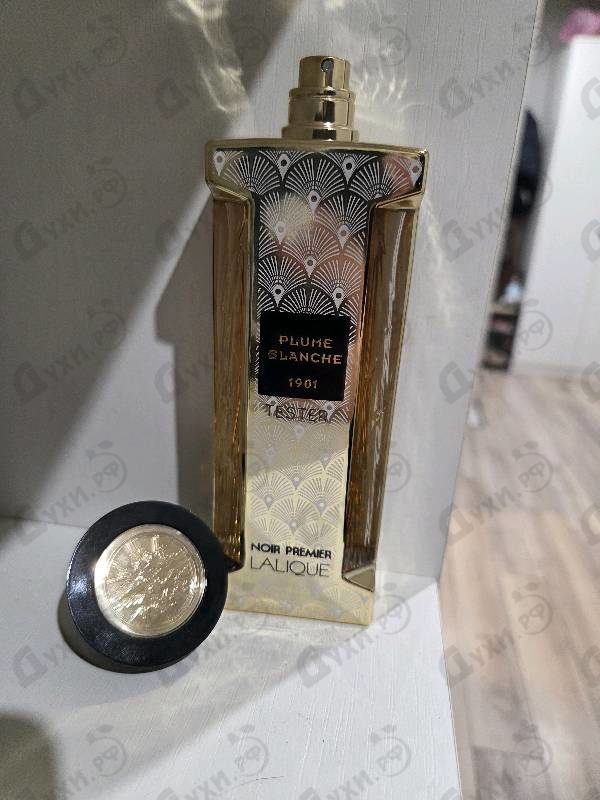 Купить Lalique Plume Blanche