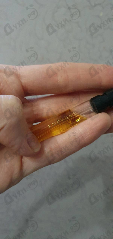 Парфюмерия Enclave от Amouage