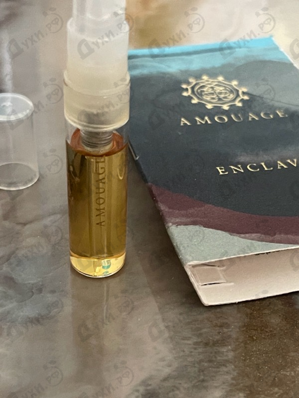 Купить Enclave от Amouage