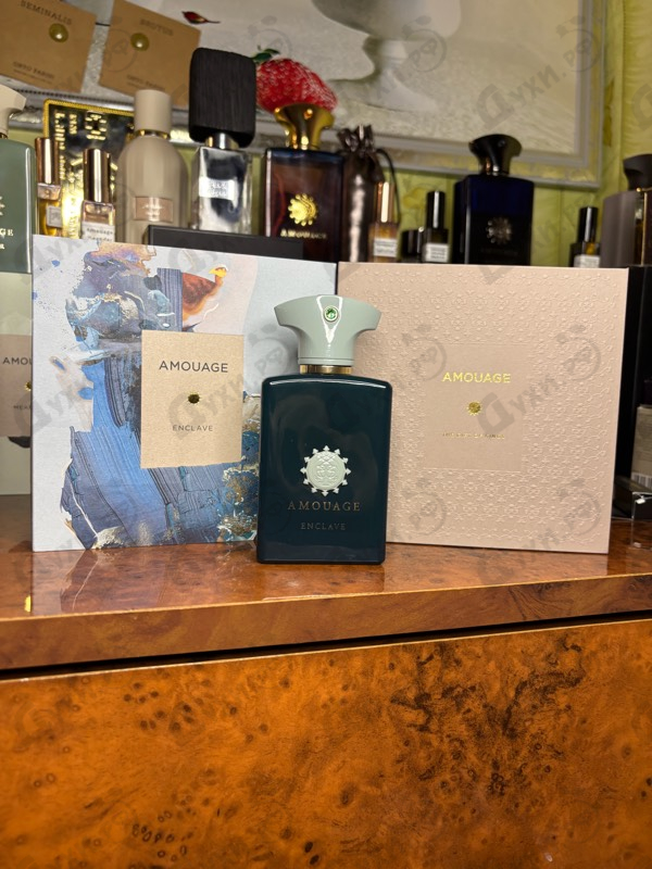 Купить Amouage Enclave