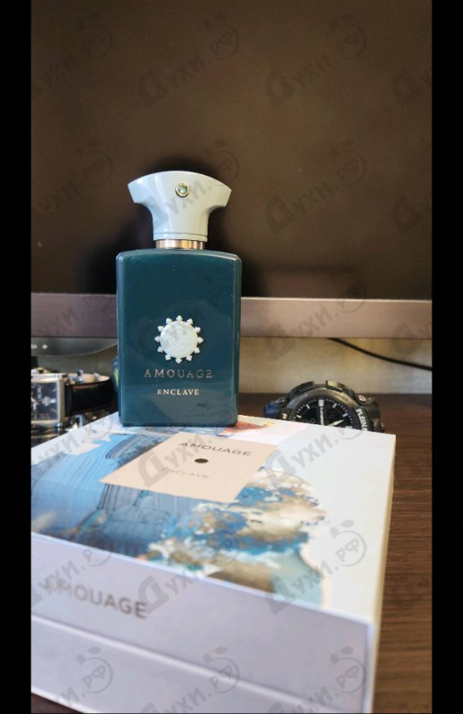 Купить Enclave от Amouage