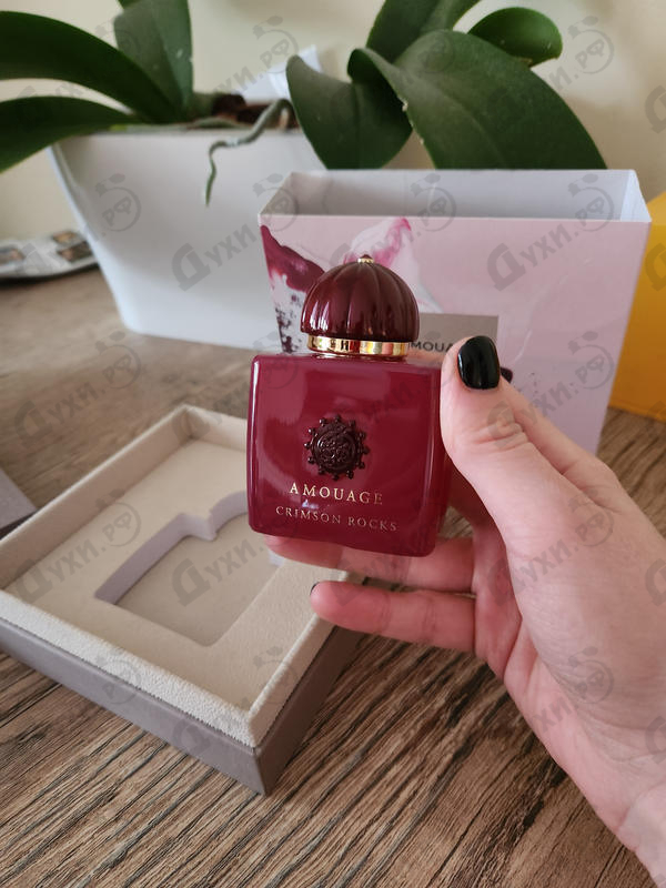 Парфюмерия Crimson Rocks от Amouage