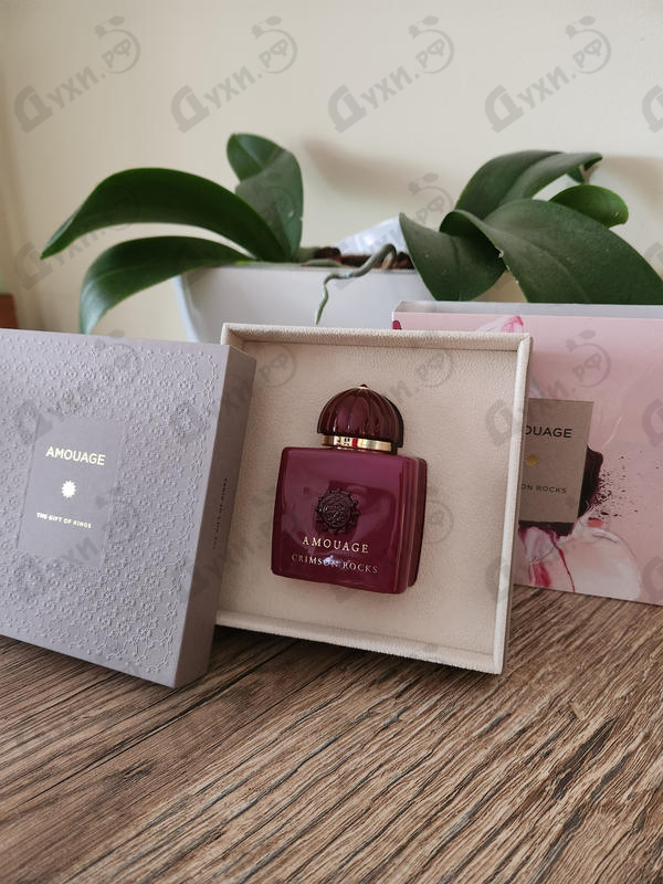 Отзывы Amouage Crimson Rocks