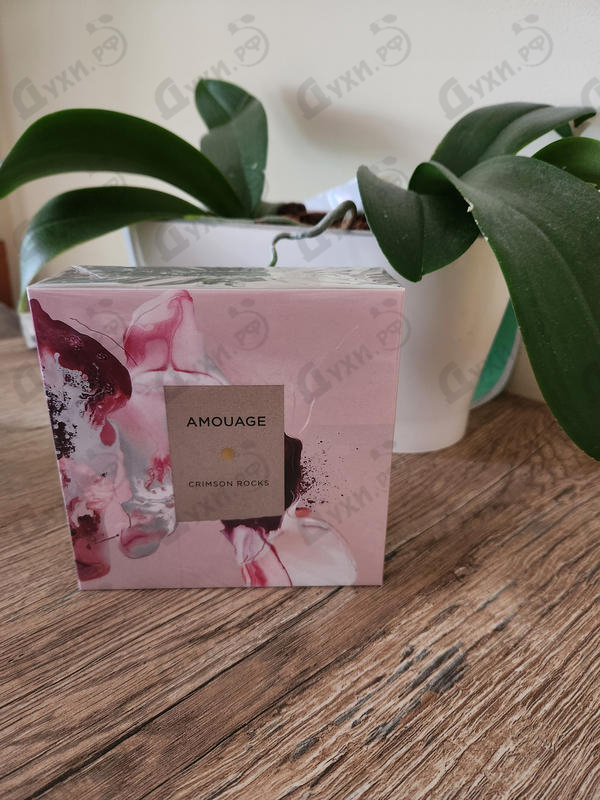 Купить Crimson Rocks от Amouage