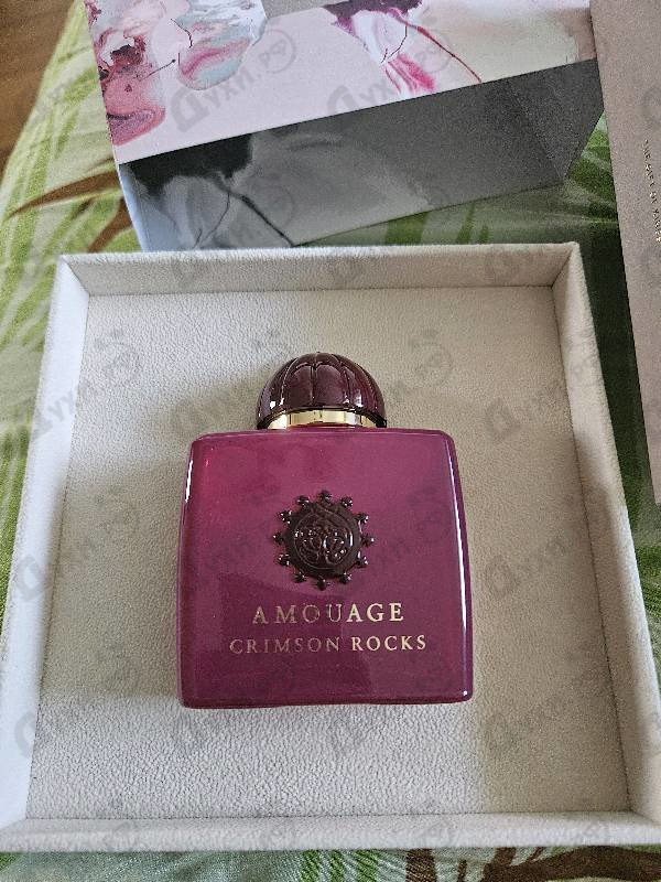 Купить Amouage Crimson Rocks