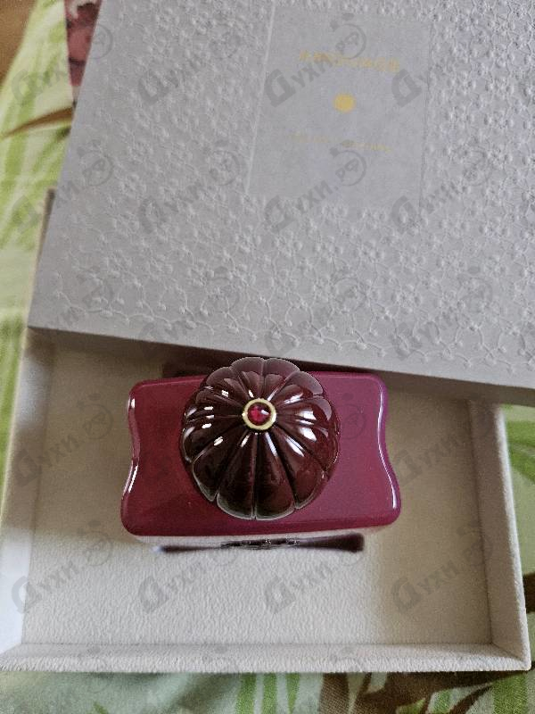 Парфюмерия Amouage Crimson Rocks