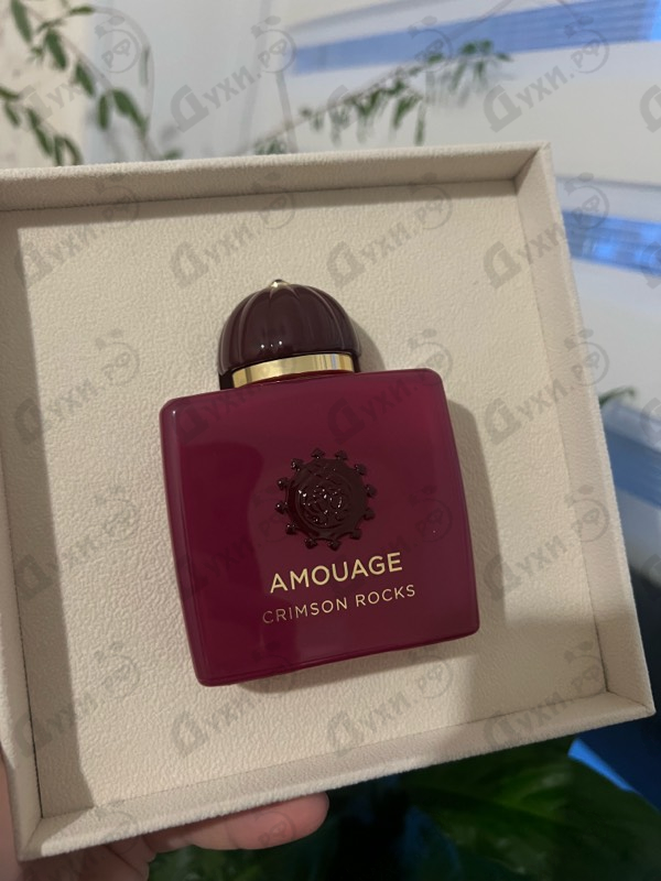 Отзывы Amouage Crimson Rocks