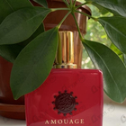 Отзывы Amouage Crimson Rocks
