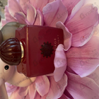 Парфюм Amouage Crimson Rocks