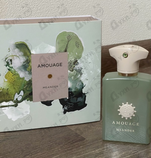 Купить Meander от Amouage