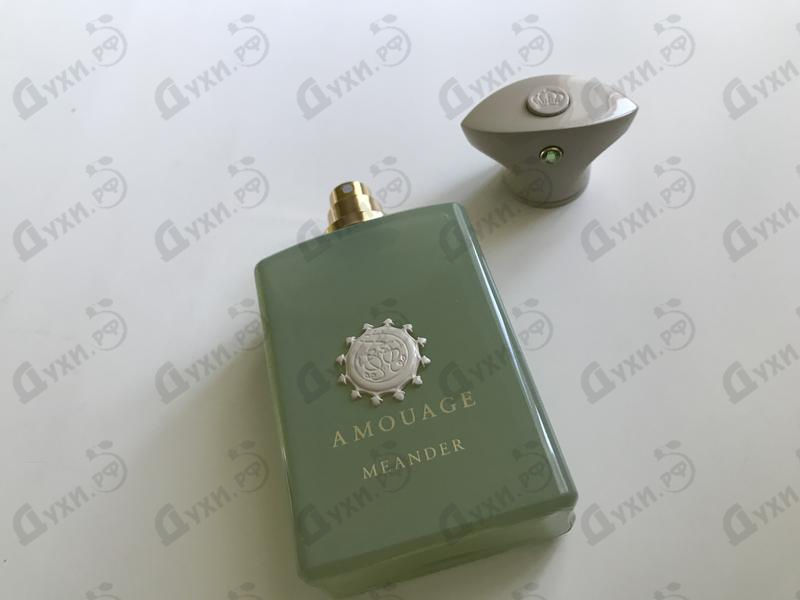 Купить Meander от Amouage