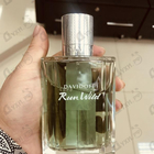 Отзывы Davidoff Run Wild