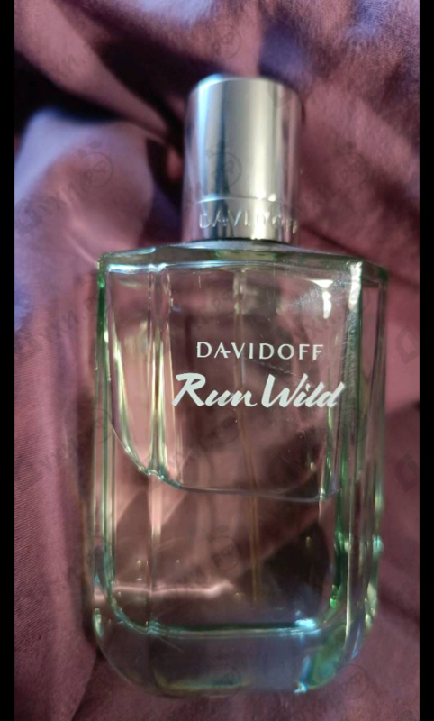 Отзыв Davidoff Run Wild
