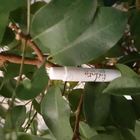 Отзывы Christian Dior J’adore Infinissime