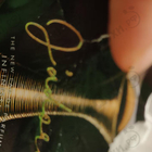 Парфюм Christian Dior J’adore Infinissime