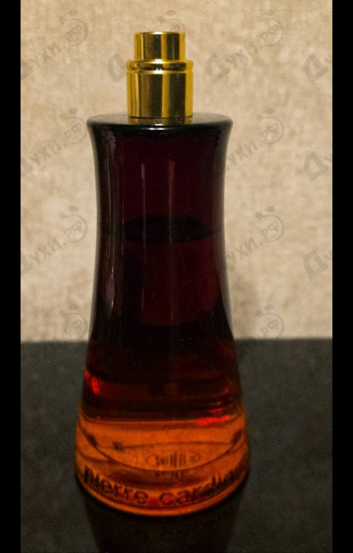 Духи Fusion от Pierre Cardin