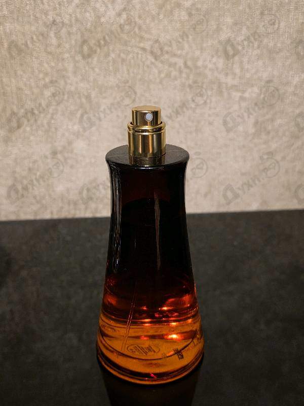 Отзывы Pierre Cardin Fusion