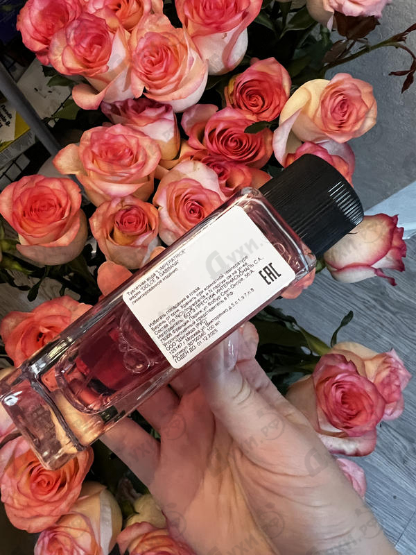 Купить Dolce & Gabbana L'Imperatrice Limited Edition