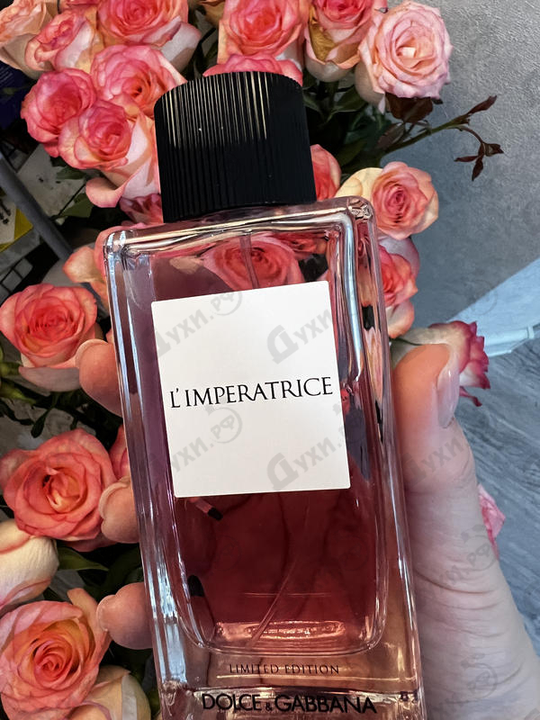 Купить L'Imperatrice Limited Edition от Dolce & Gabbana