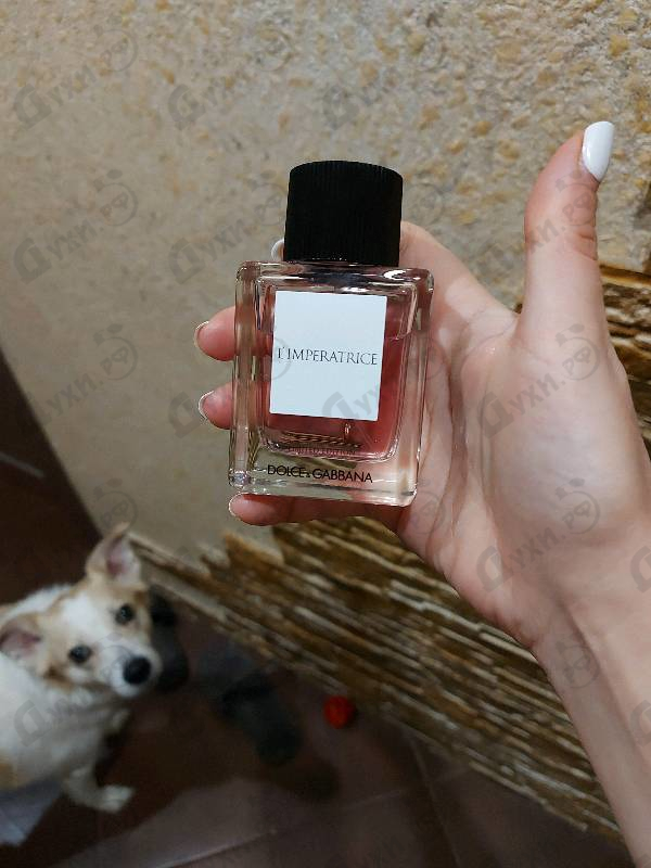 Отзыв Dolce & Gabbana L'Imperatrice Limited Edition
