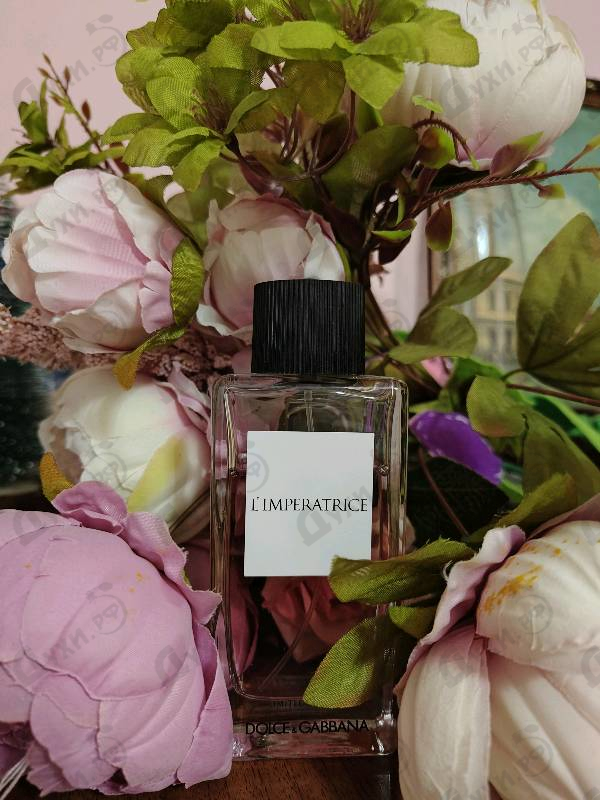 Отзыв Dolce & Gabbana L'Imperatrice Limited Edition