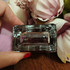 Парфюмерия L'Imperatrice Limited Edition от Dolce & Gabbana