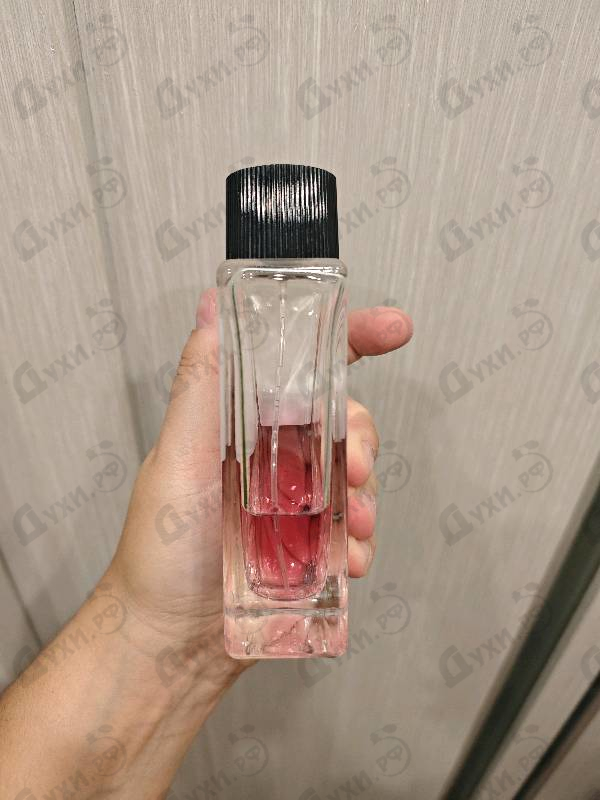 Купить L'Imperatrice Limited Edition от Dolce & Gabbana