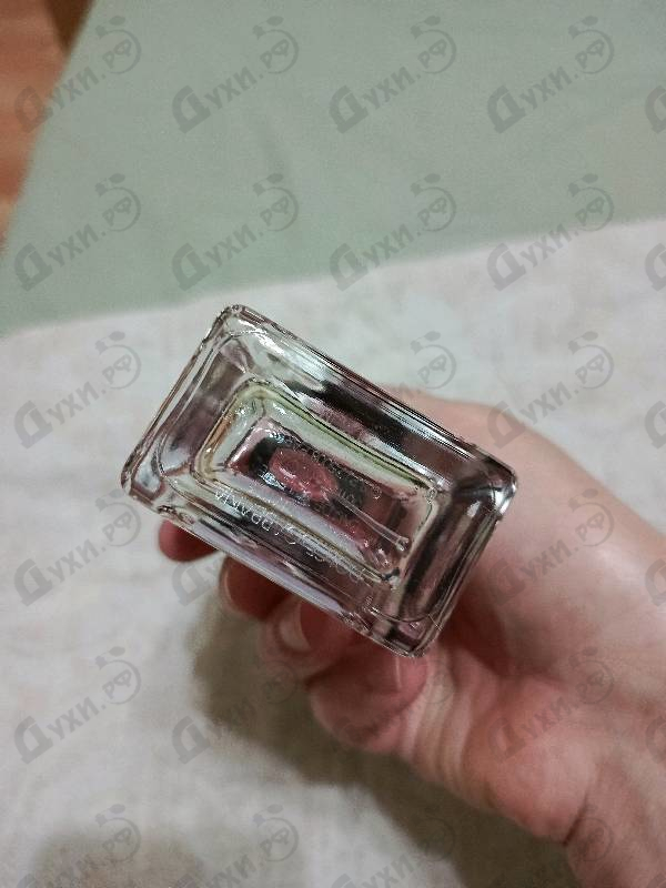 Духи L'Imperatrice Limited Edition от Dolce & Gabbana