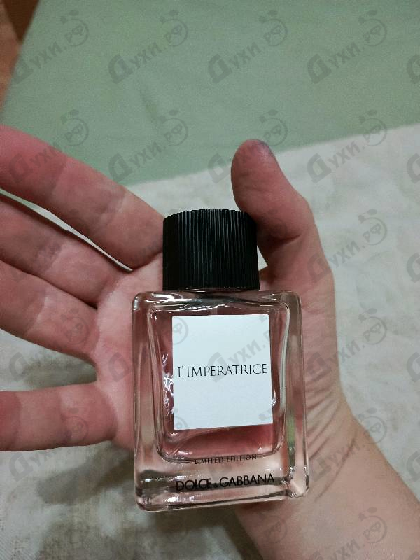 Купить L'Imperatrice Limited Edition от Dolce & Gabbana