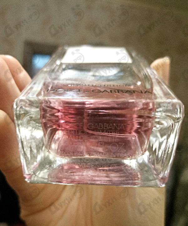 Купить L'Imperatrice Limited Edition от Dolce & Gabbana